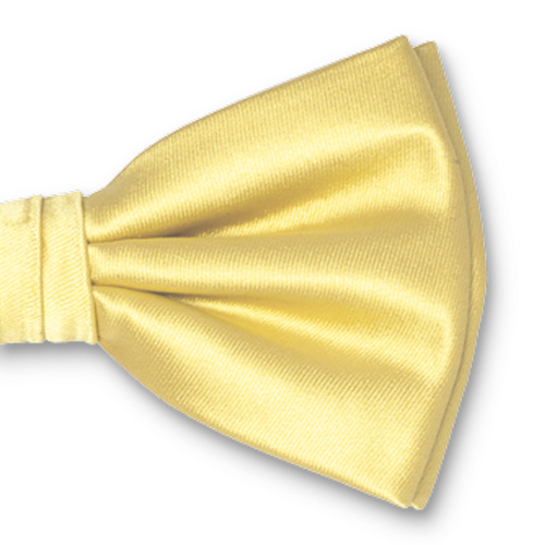 Pastellgelbe Herrenfliege (2)