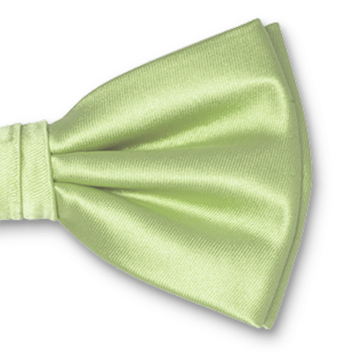 Mintgrüne Herrenfliege (2)