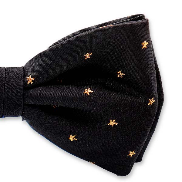 Schwarz-goldene Sternfliege (2)