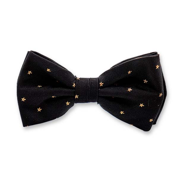 Schwarz-goldene Sternfliege (1)