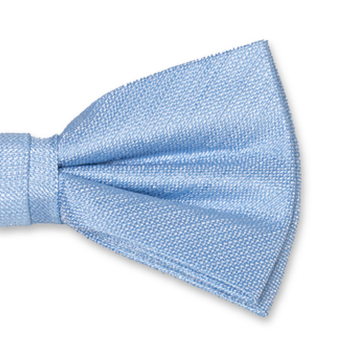 Hellblaue Herrenfliege (2)