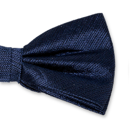 Dunkelblaue Herrenfliege (2)