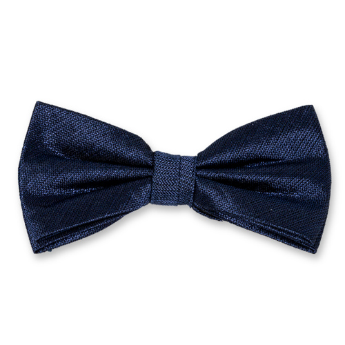 Dunkelblaue Herrenfliege (1)