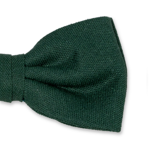 Dunkelgrüne Herrenfliege (2)