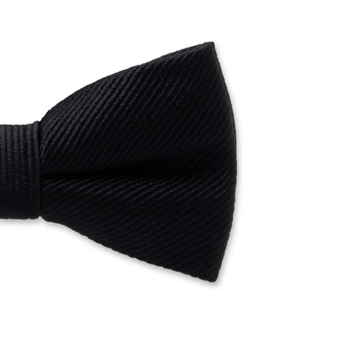 Schwarze Kinderfliege (2)