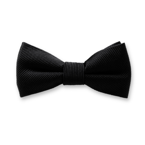 Schwarze Kinderfliege (1)