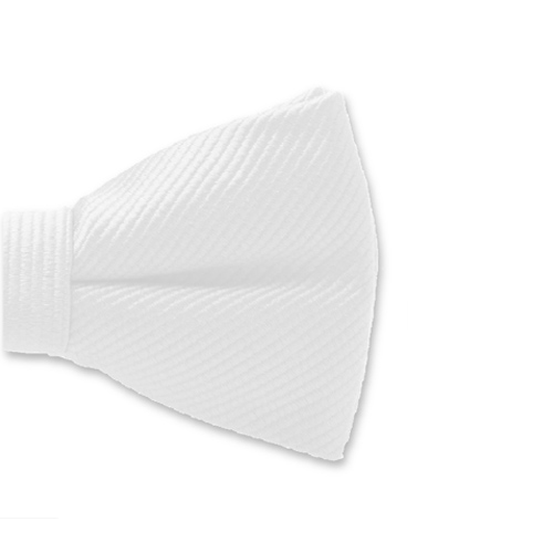 Weiße Kinderfliege (2)