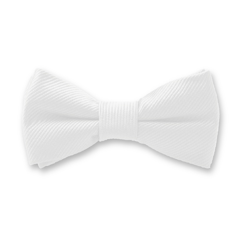 Weiße Kinderfliege (1)