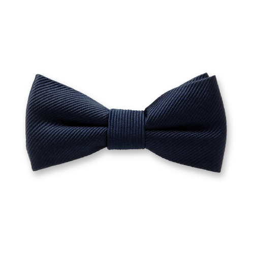 Dunkelblaue Kinderfliege (1)