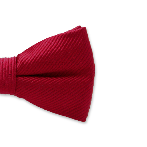 Dunkelrote Kinderfliege (2)