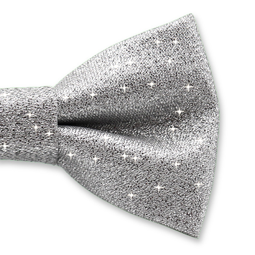 Silberner Glitzerstoff Kinderfliege (2)