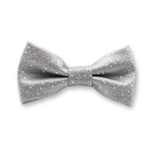 Silberner Glitzerstoff Kinderfliege (1)