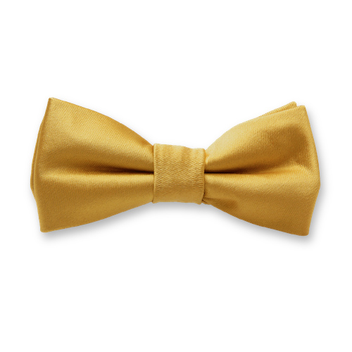 Gold Satin Kinderfliege (1)