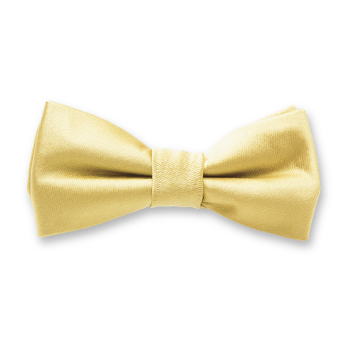 Pastellgelbe Kinderfliege (1)