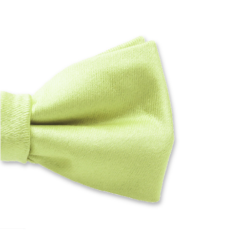 Minzgrüne Kinderfliege (2)