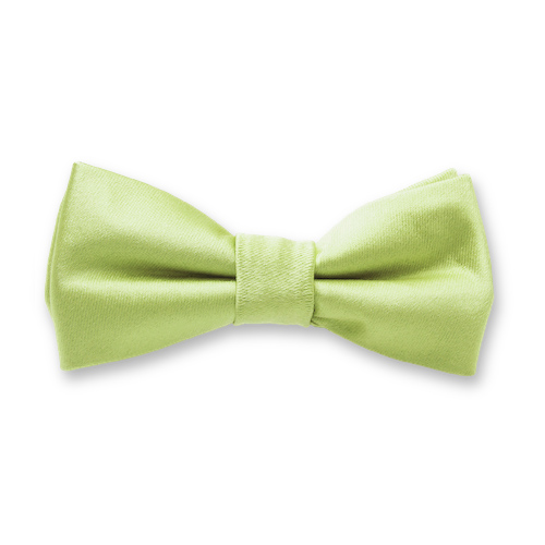 Minzgrüne Kinderfliege (1)