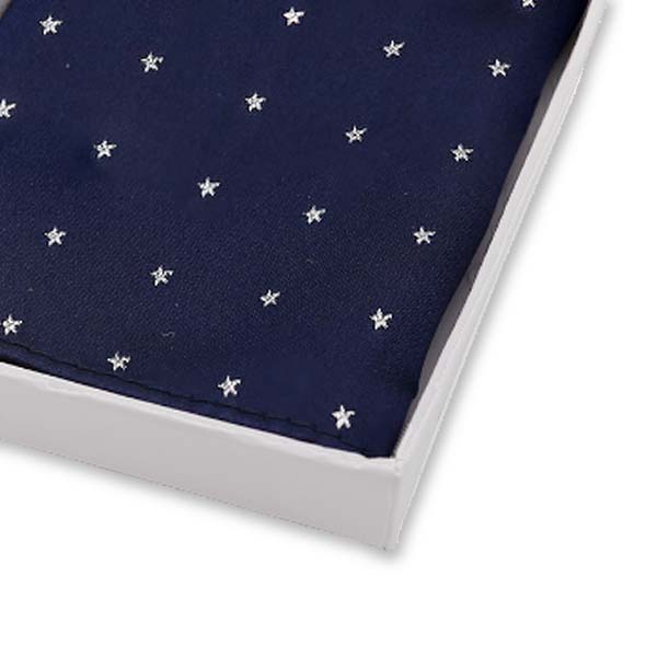 Dunkelblau - Silver Star Einstecktuch (2)