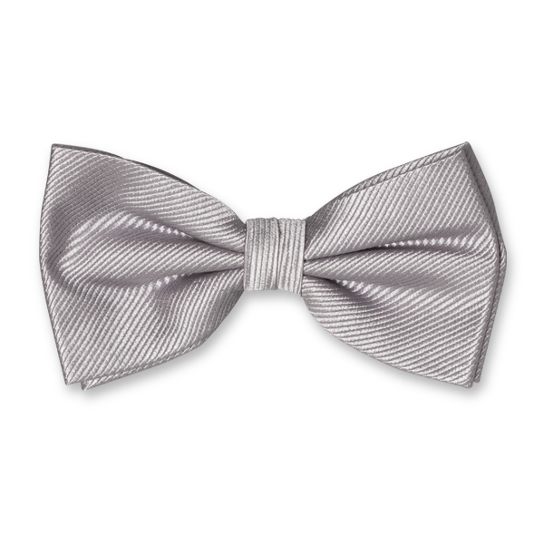 Herrenfliege grau (1)