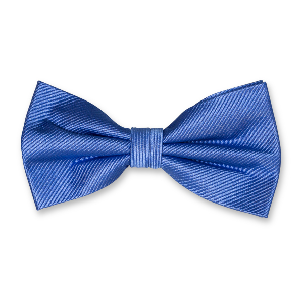 Herrenfliege blau (1)