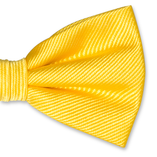 Herrenfliege kanariengelb (2)