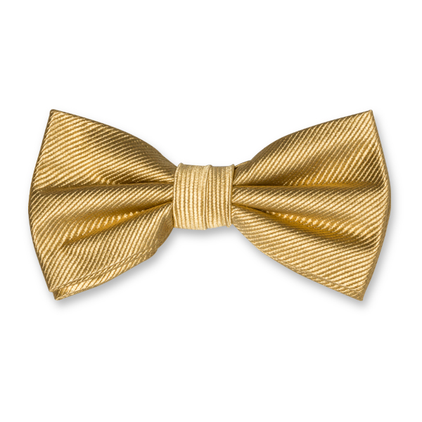 Herrenfliege gold (1)