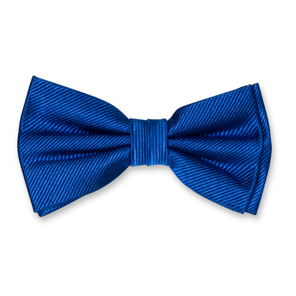 Herrenfliege königsblau (1)