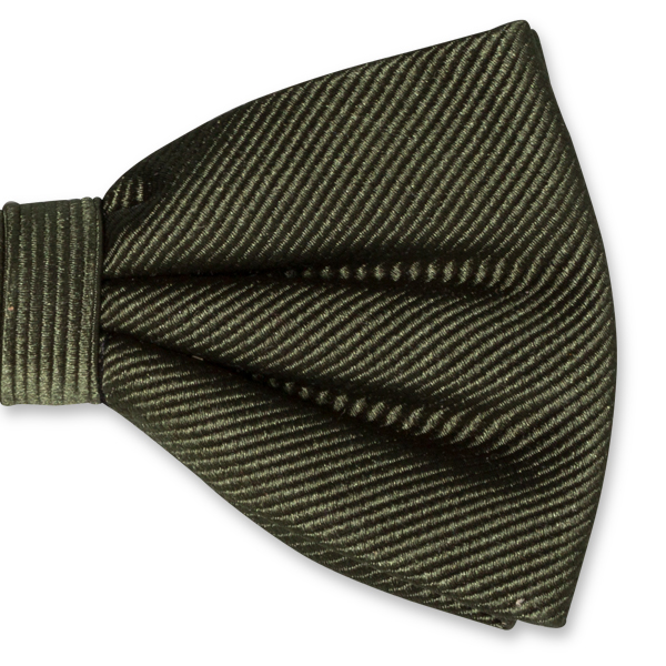 Herrenfliege dunkelgrün (2)