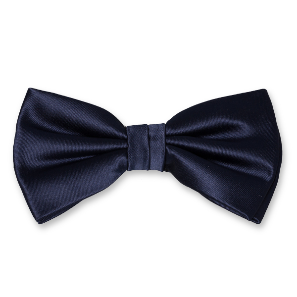 Dunkelblaue Herrenfliege (1)