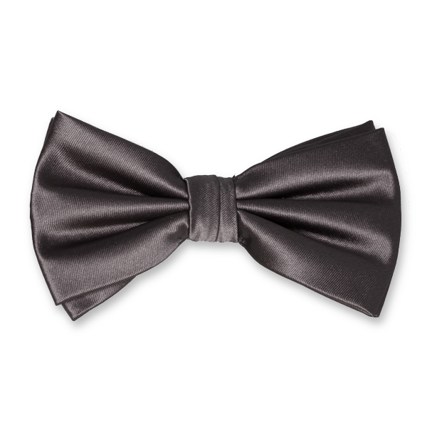 Anthrazite Herrenfliege (1)