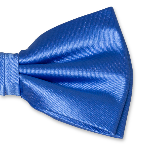 Blaue Herrenfliege (2)