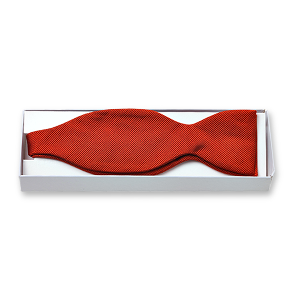 Rote Fliege zum Selberbinden (2)