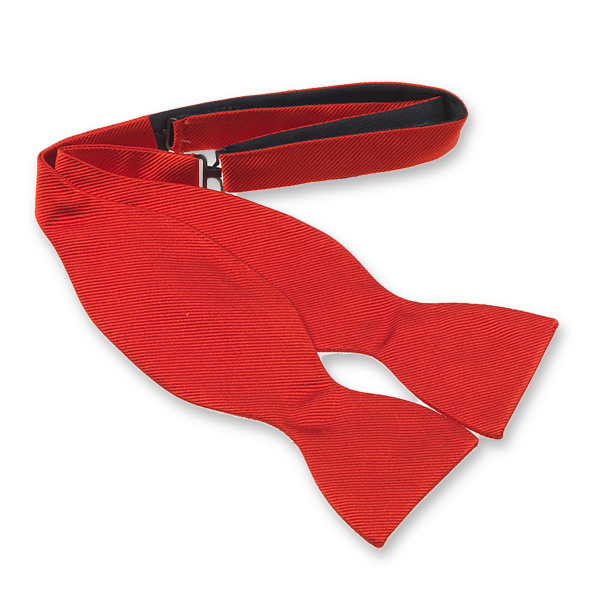 Tomatenrote Fliege zum Selberbinden (1)