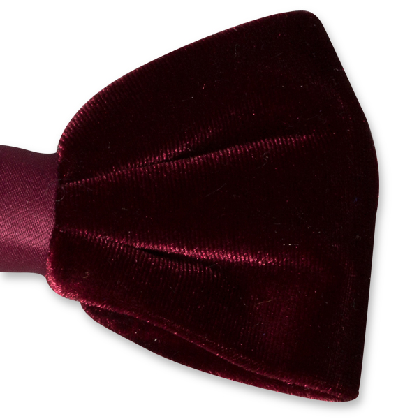 Samtfliege bordeaux (2)