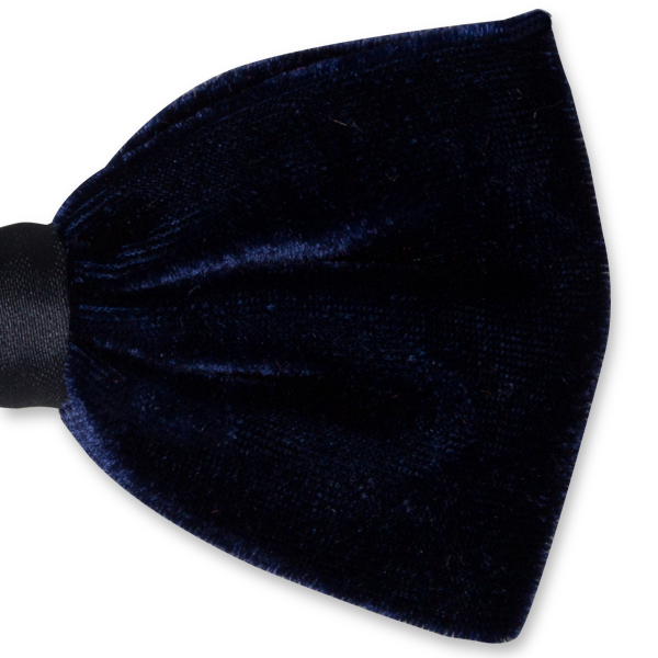 Samtfliege dunkelblau (2)