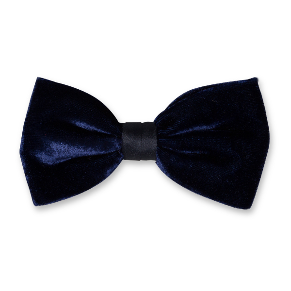 Samtfliege dunkelblau (1)