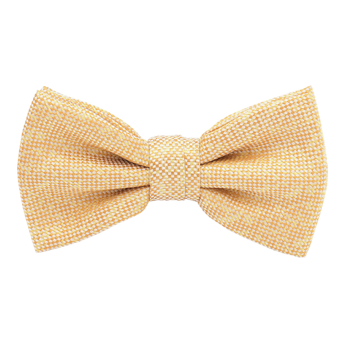 Gelbe Fliege Two-tone (1)