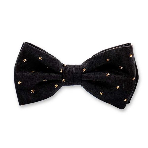 Schwarz-goldene Sternfliege (1)