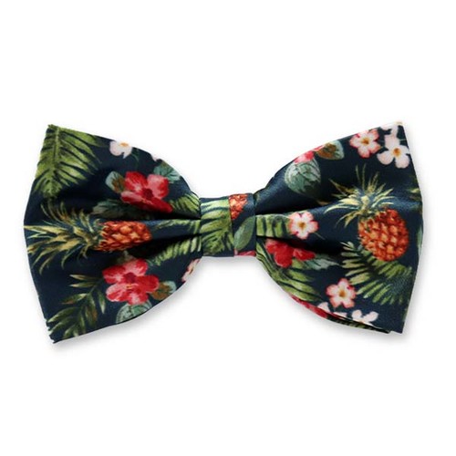 Ananas Herrenfliege (1)