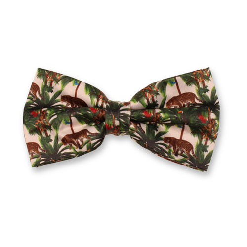 Urwald Herrenfliege (1)