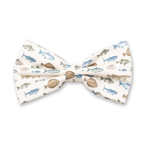 Fliege mit Leopardenmuster (1)