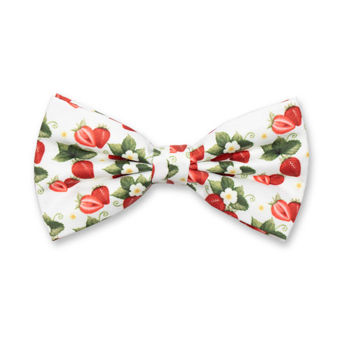 Fliege - Erdbeeren (1)