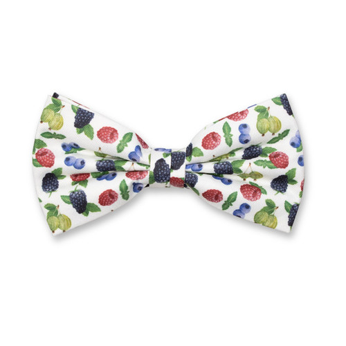 Fliege - Waldfrüchte (1)