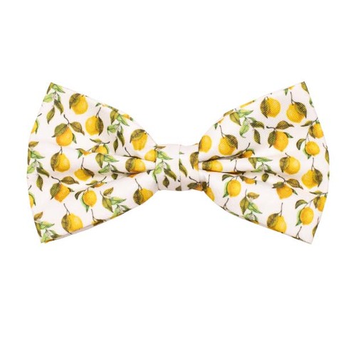 Zitronen Herrenfliege (1)