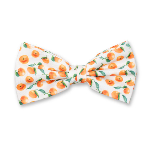 Fliege Mandarin Design (1)