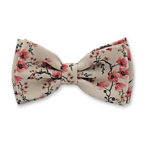 Alte Rosa Fliege Japanische Blüte (1)