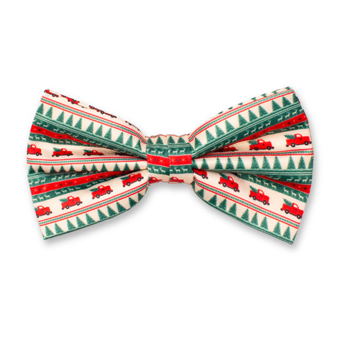 Weihnachtsfliege - LKW (1)