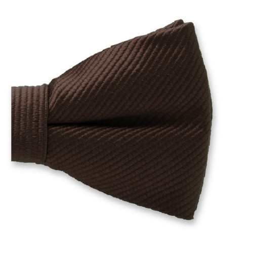 Dunkelbraune Kinderfliege (2)