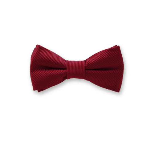 Weinrote Kinderfliege (1)