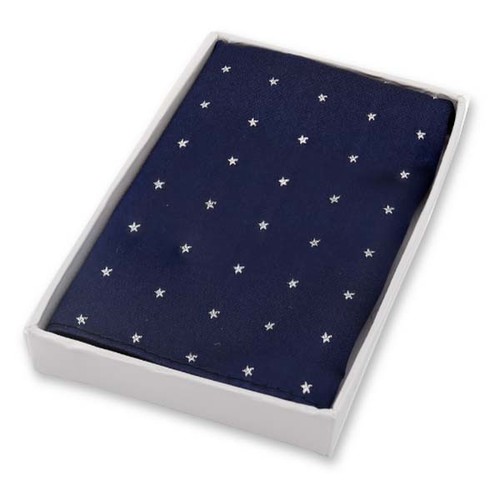 Dunkelblau - Silver Star Einstecktuch (1)