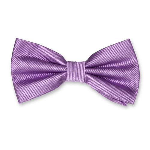 Herrenfliege lila (1)